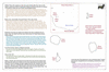 coo1f14 bavia 6 tupaia 2_thumb.gif